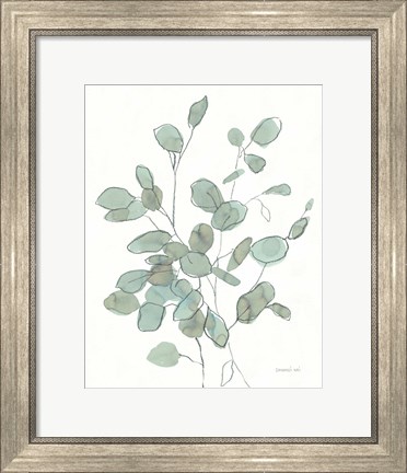 Framed Transparent Leaves Eucalyptus Print