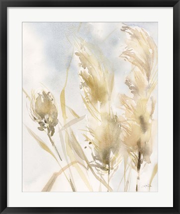 Framed Pampas Grasses III Print