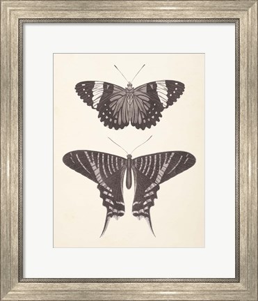 Framed Papillons I Neutral Print