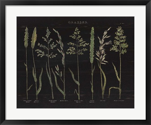 Framed Herbal Botanical VII Black Print