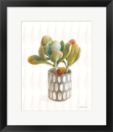 Framed Desert Greenhouse XIV Print