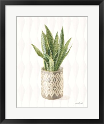 Framed Desert Greenhouse XVI Print