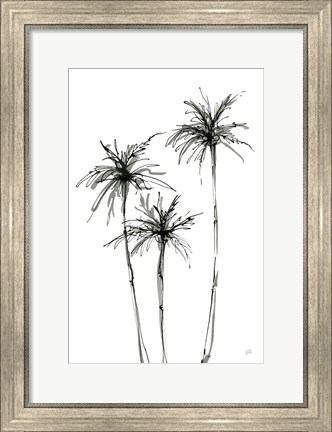 Framed Shadow Palms IV Print
