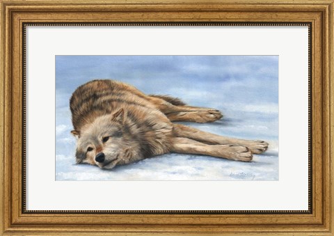 Framed Wolf Laying In Snow Print