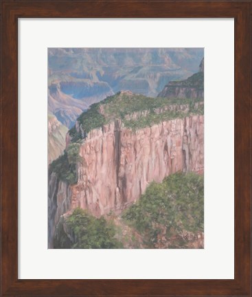 Framed Grand Canyon Print