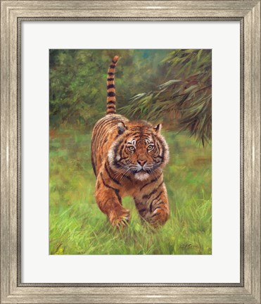 Framed Sumatran Tiger Running Print