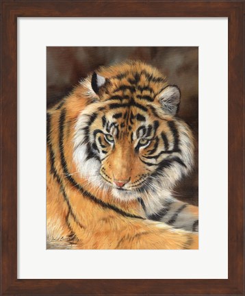 Framed Tiger 10 Print