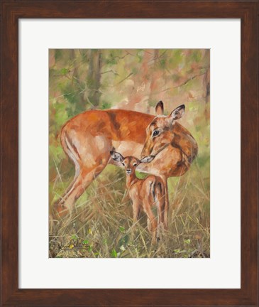 Framed Impala And Young Print