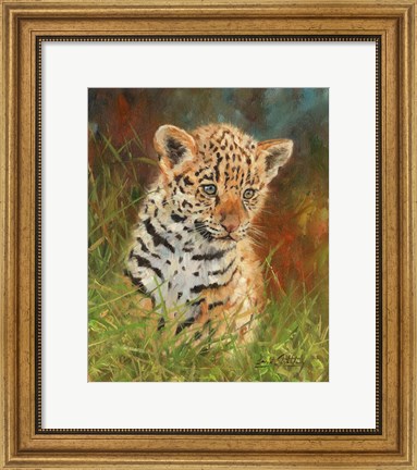 Framed Jaguar Cub Print