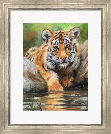 Framed Tiger Cub Water Print