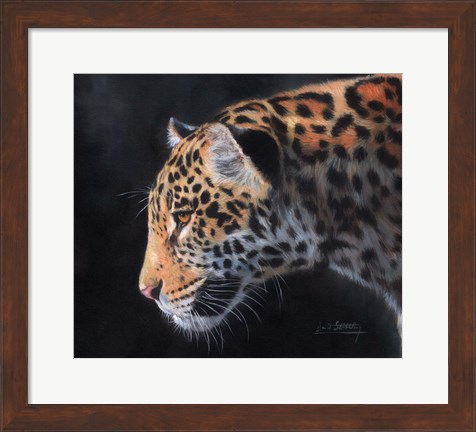 Framed Jaguar Portrait Print