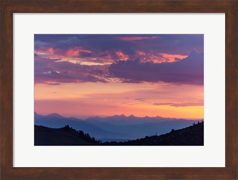 Framed Mammoth And Ancient Bristlecone Print