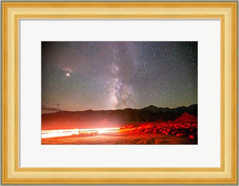 Framed Mammoth And Ancient Bristlecone 3 Print
