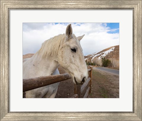 Framed On the Ranch Print