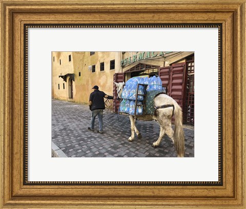 Framed Mule Carrying Water, Through the Medina in Fes, Morocco, Africa Print