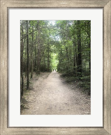 Framed Catawba Falls Trailhead, Asheville, North Carolina Print