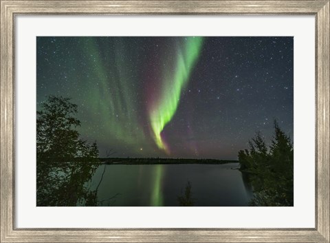 Framed Aurora and Big Dipper Over Tibbitt Lake Near Yellowknife Print
