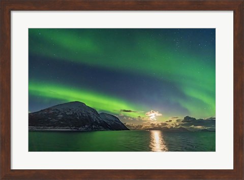 Framed Auroral Curtains Along the Norwegian Coast Print