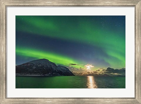 Framed Auroral Curtains Along the Norwegian Coast Print