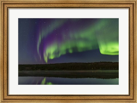 Framed Colorful Aurora in the Darkening Twilight Over Madeline Lake Print