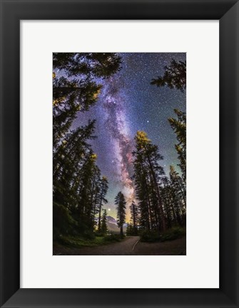 Framed Summer Milky Way With Through Pine Trees Print