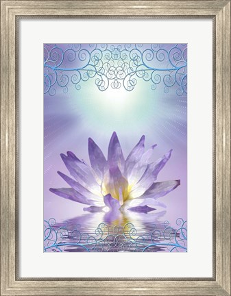 Framed Lotus With Decorative Edging Print