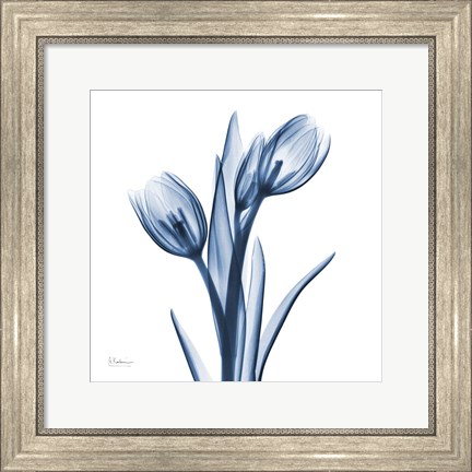 Framed Tulips Indigo Print