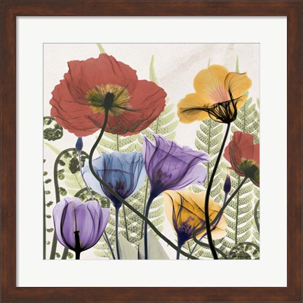 Framed Flowers And Ferns Print