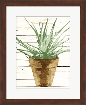 Framed Wood Plant Pot Print