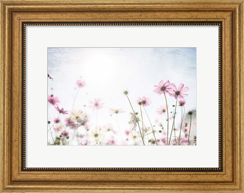 Framed Wildflower Spring Print