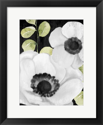 Framed Anemone On Black 1 Print