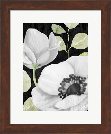Framed Anemone On Black 2 Print
