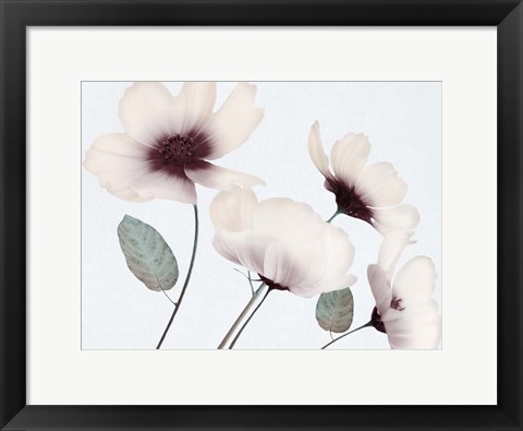 Framed Blooming Youth 1 Print