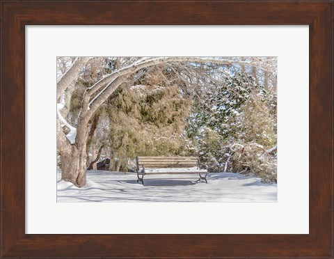 Framed Arboretum 1 Print