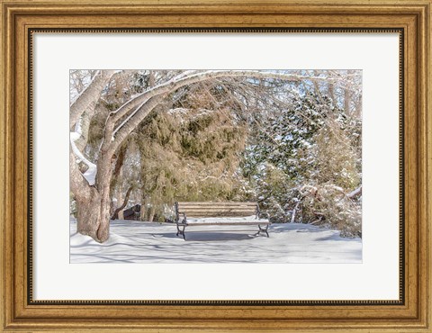 Framed Arboretum 1 Print