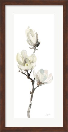 Framed White Magnolia I Panel Print