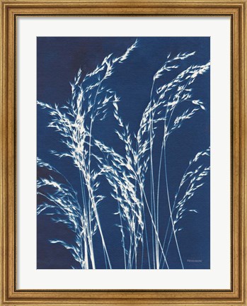 Framed Ornamental Grass V Print