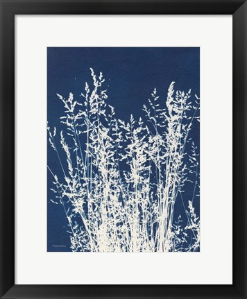 Framed Ornamental Grass I Print