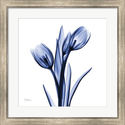Framed Enchanted Indigo Tulips Print