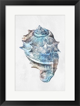 Framed Urban Sea Shell 2 Print