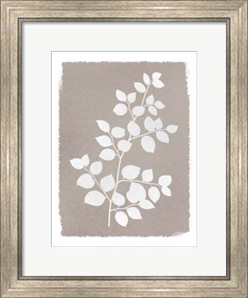 Framed Natural Silhouetted Growth 2 Print
