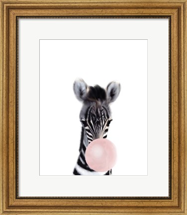 Framed Baby Zebra Bubble Gum Print