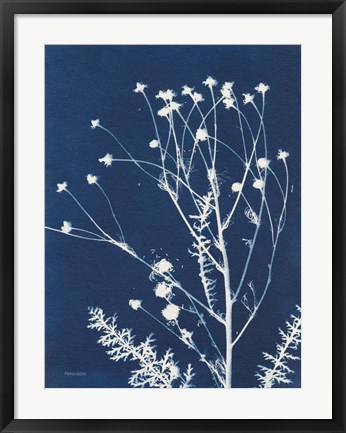 Framed Alpine Flower IV Print