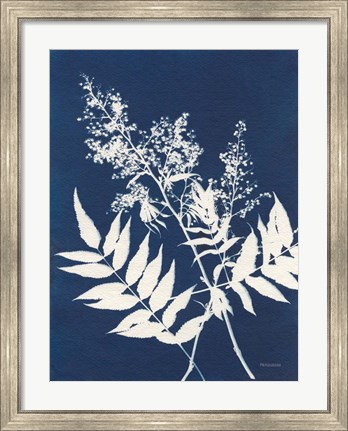 Framed Alpine Flower III Print