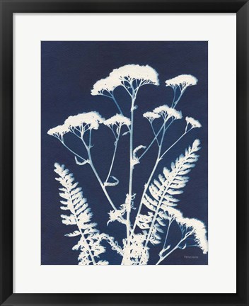 Framed Alpine Flower I Print