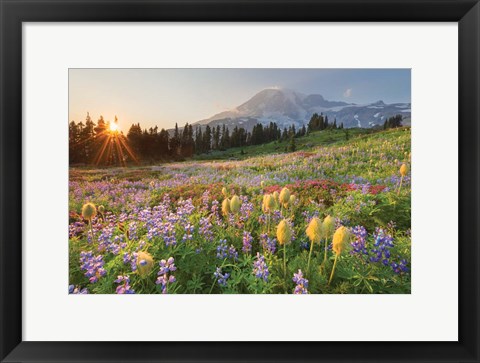 Framed Paradise Wildflower Meadows I Print