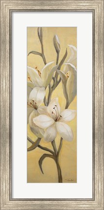 Framed Subtle Lily I Print