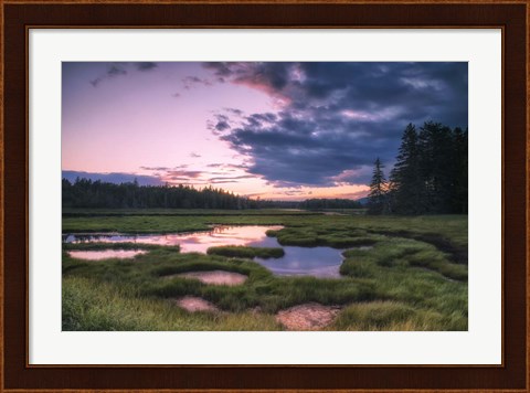Framed Sunset at Bass Harbor Marsh Print