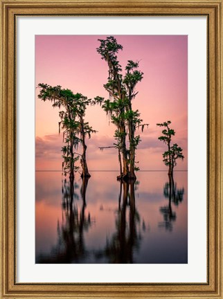 Framed Pink Twilight on Lake Maurepas Print
