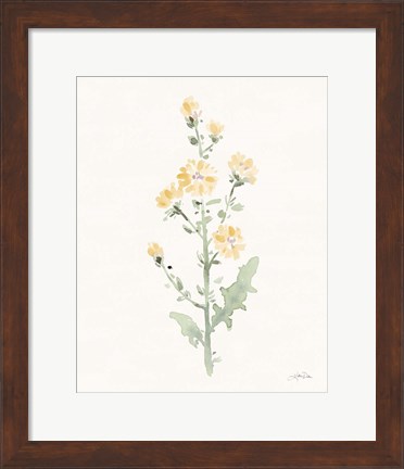 Framed Flowers of the Wild III Pastel Print